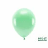 Ballonnen Metallic Mint Premium Organic (100st) -Griezels Glans Winkel ballonnen metallic mint premium organic 100st