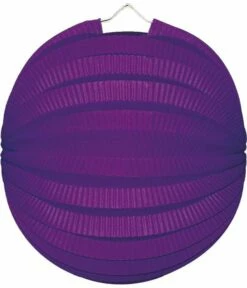 Bollampion Paars 23 Cm