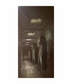 Deurdecoratie Halloween Hangende Lichamen (200x80cm)