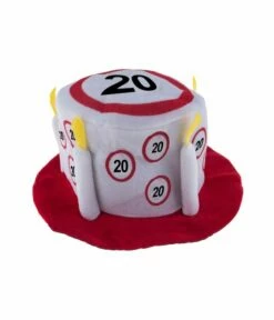 Feesthoed Verkeersborden 20 Jaar