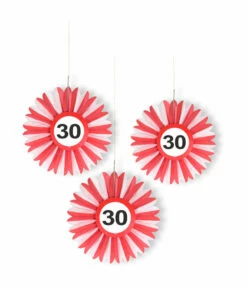 Honeycomb Waaier Verkeersbord 30 Jaar