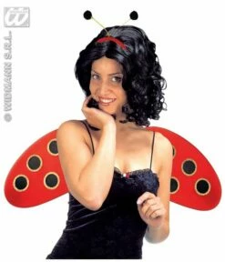 Lieveheersbeestje Set -Griezels Glans Winkel lieveheersbeestje set 1