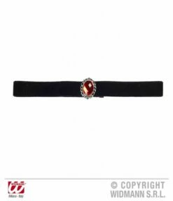 Nekband Fluweel Zwart Met Rode Steen