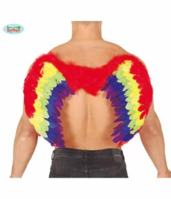 Regenboog Vleugel 80x50cm