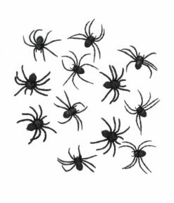 Set 12 Spinnen (5 X 6 Cm)