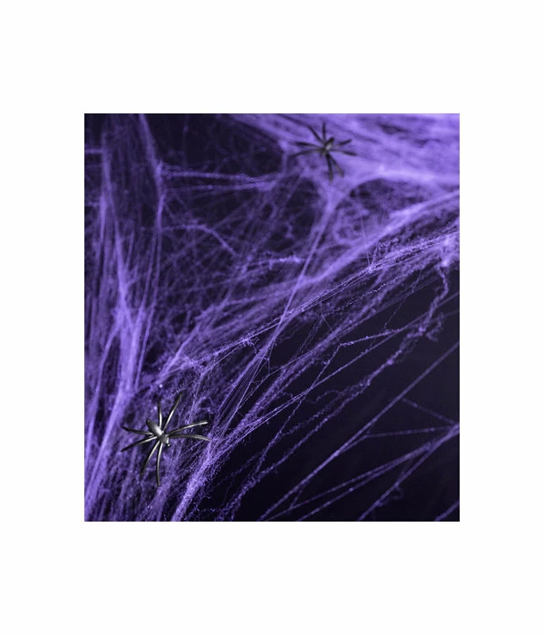 Spinnenweb Paars Halloween Met 2 Spinnen 3 Spinnenweb Paars Halloween Met 2 Spinnen