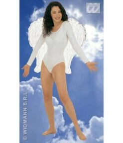 Veren Vleugel Engel 64x67cm