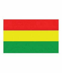 Vlag Carnaval 150x90cm Rood/geel/groen