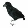 Zwarte Kraai 34cm -Griezels Glans Winkel zwarte kraai 34cm